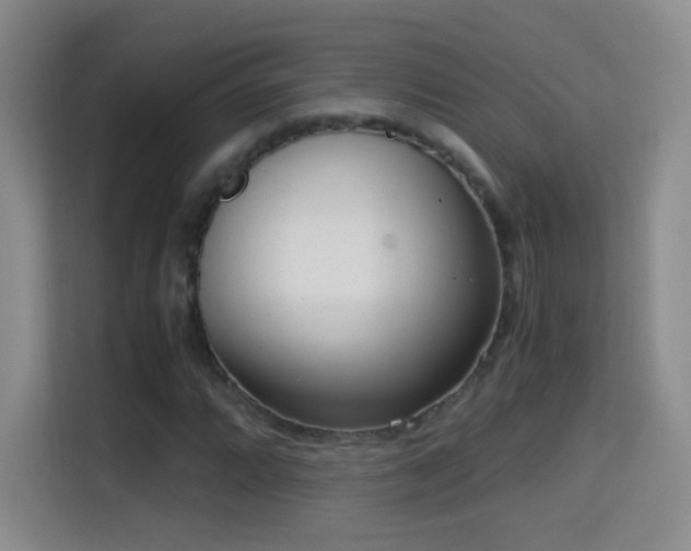 X0000114681064200910211206