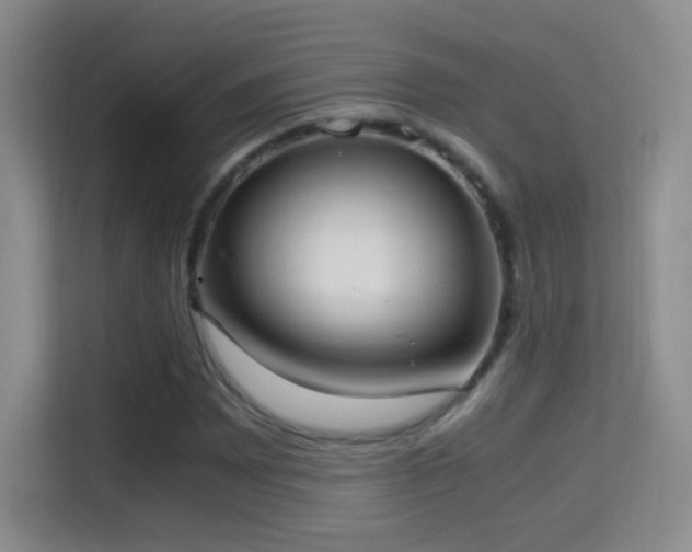 X0000114681065200910211206