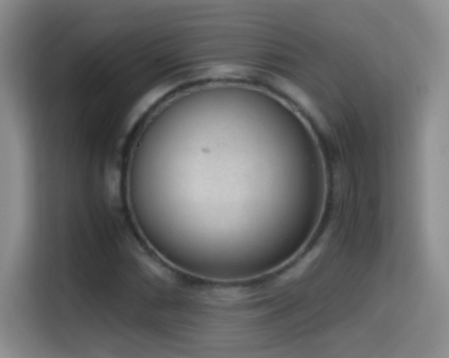 X0000114681066200910211206