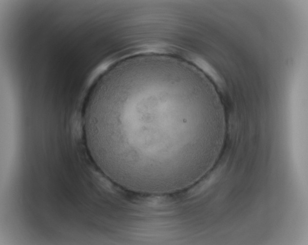 X0000114681067200910211206
