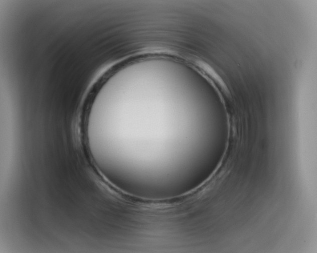 X0000114681068200910211206