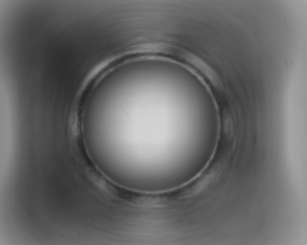 X0000114681069200910211206
