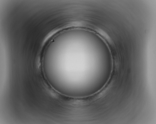 X0000114681070200910211206