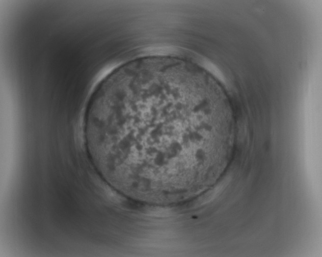 X0000114681071200910211206