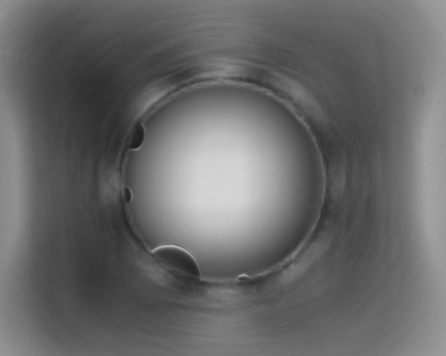 X0000114681073200910211205