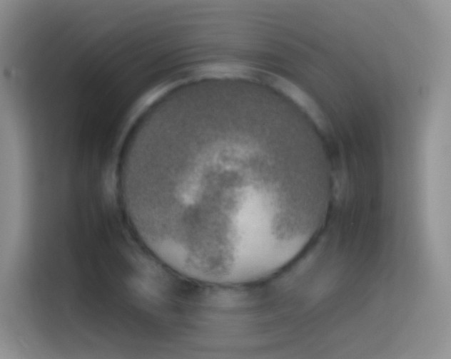X0000114681074200910211205