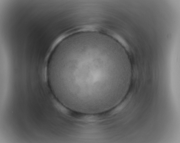 X0000114681075200910211205