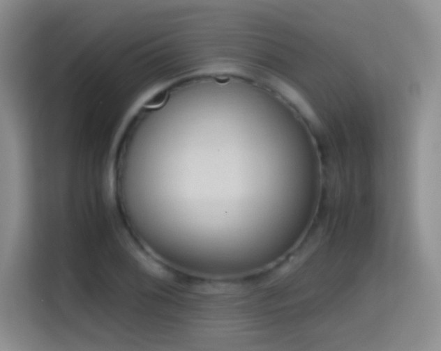 X0000114681076200910211205