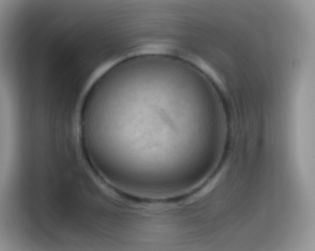 X0000114681077200910211205