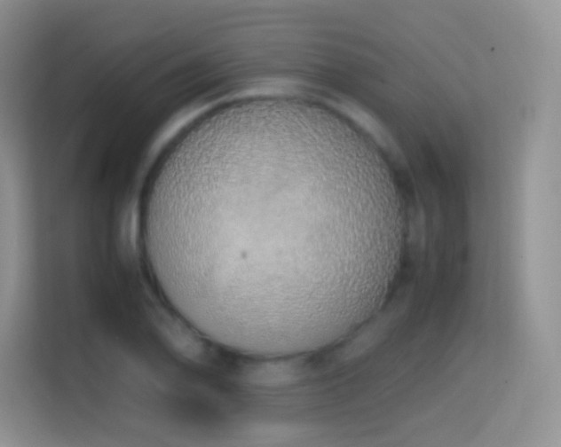 X0000114681078200910211205
