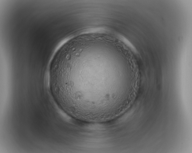 X0000114681079200910211205