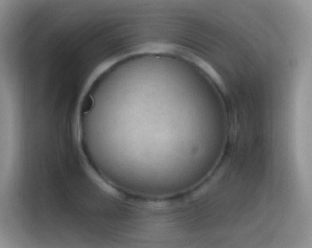 X0000114681080200910211205