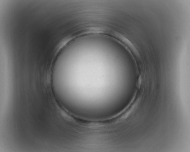X0000114681081200910211205