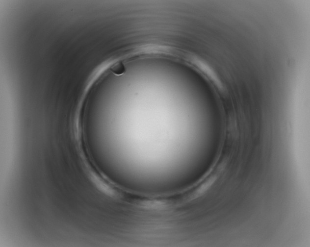 X0000114681082200910211205
