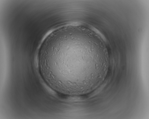 X0000114681083200910211205