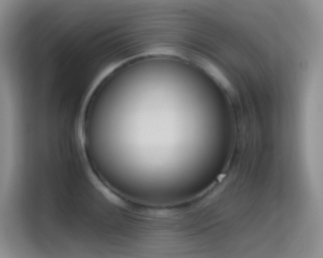 X0000114681084200910211205