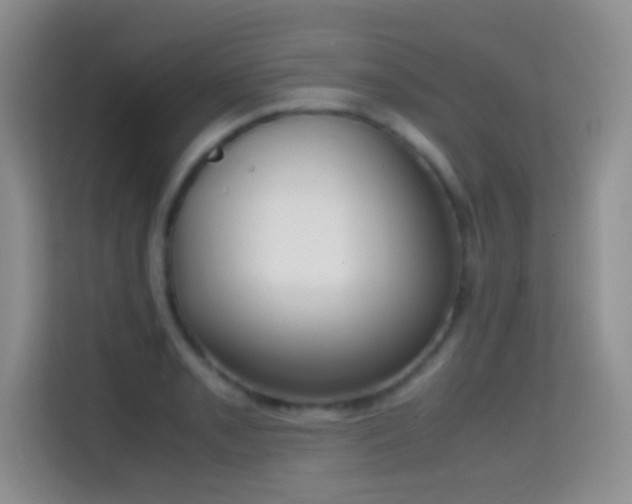X0000114681085200910211205