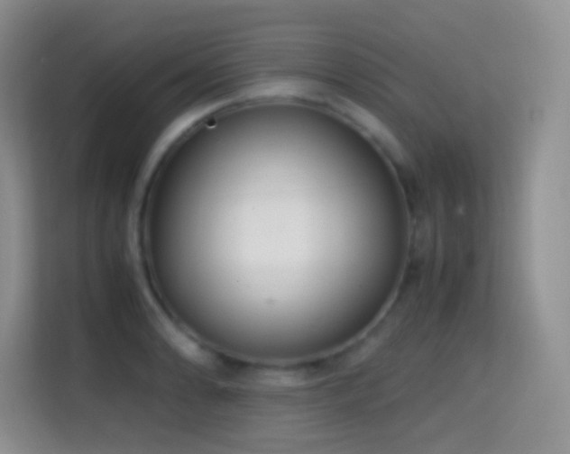 X0000114681086200910211205