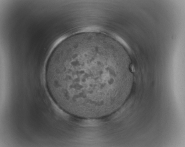 X0000114681087200910211205