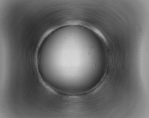 X0000114681088200910211205