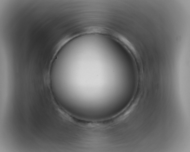 X0000114681089200910211205