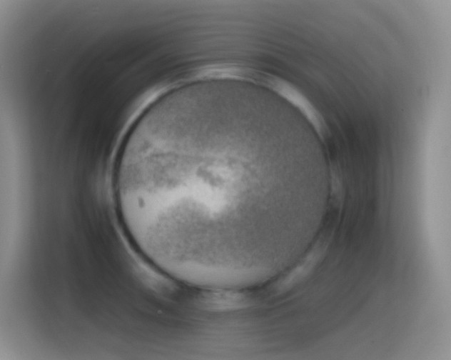 X0000114681090200910211205