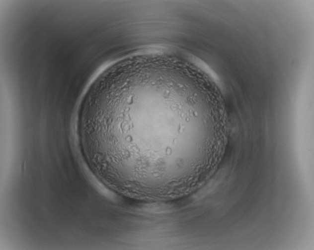 X0000114681091200910211205
