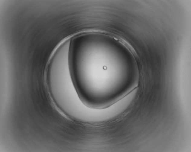 X0000114681092200910211205