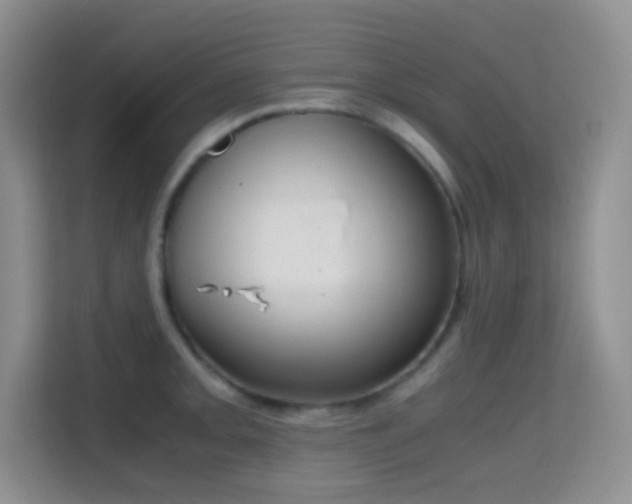 X0000114681093200910211205