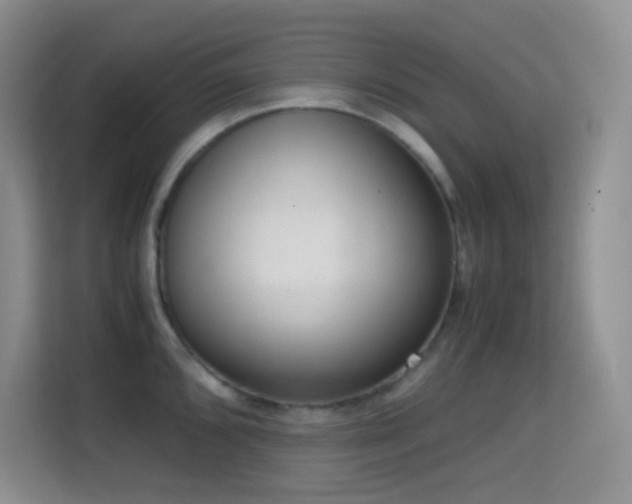 X0000114681096200910211205