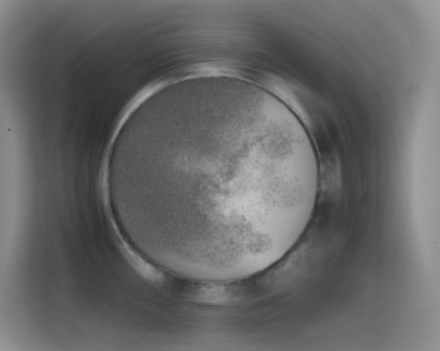X0000114681098200910211205