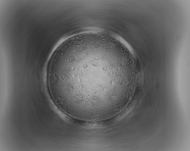 X0000114681099200910211205