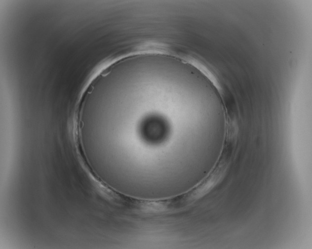 X0000114681101200910211205