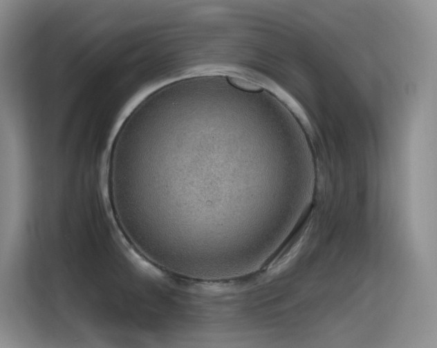 X0000114681102200910211205