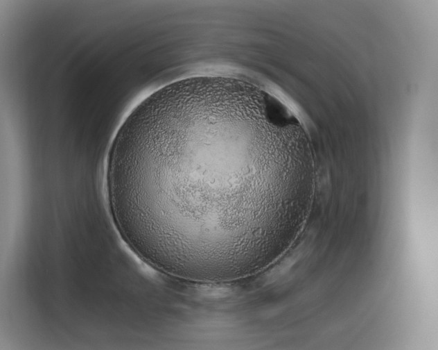 X0000114681103200910211205