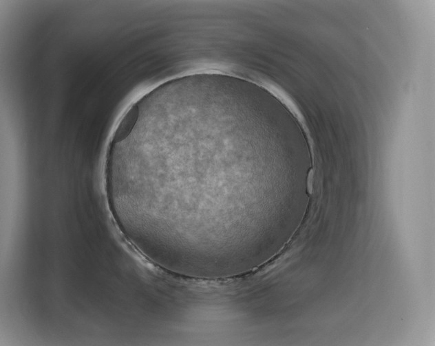 X0000114681104200910211205