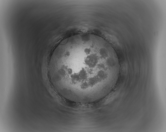 X0000114681105200910211204
