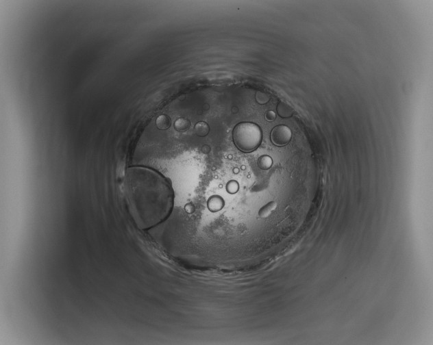 X0000114681106200910211204