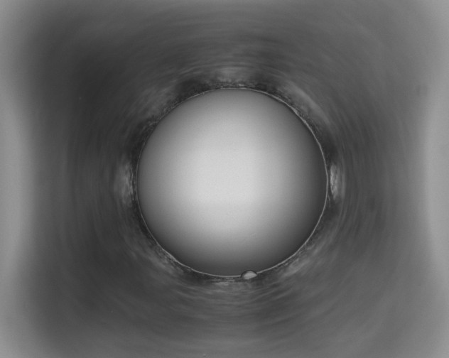 X0000114681107200910211204