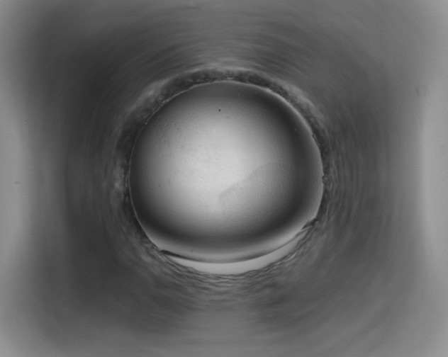 X0000114681110200910211205