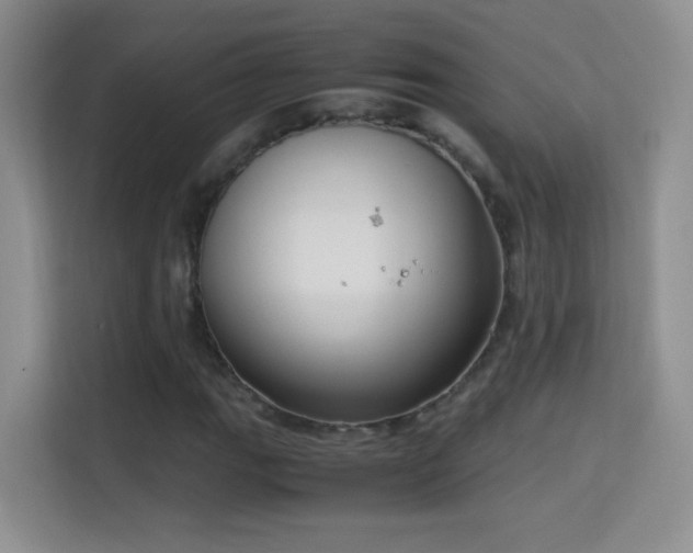 X0000114681111200910211205