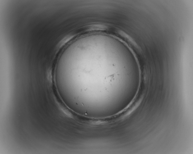 X0000114681113200910211205