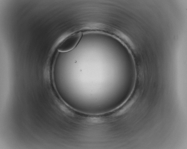 X0000114681114200910211205