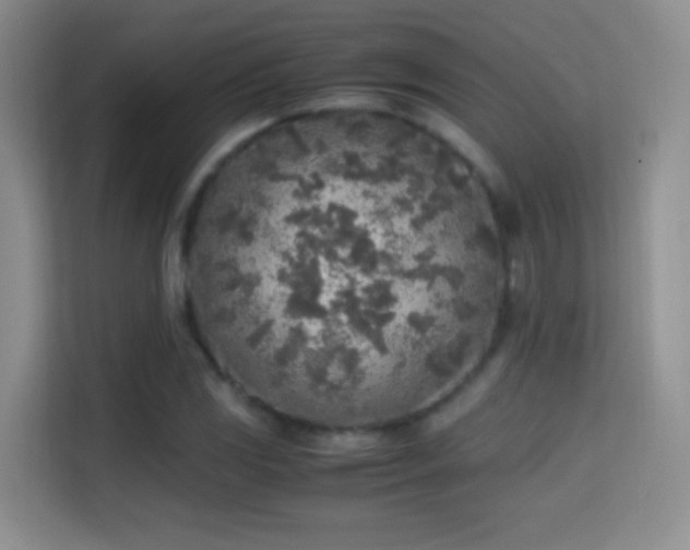 X0000114681117200910211205