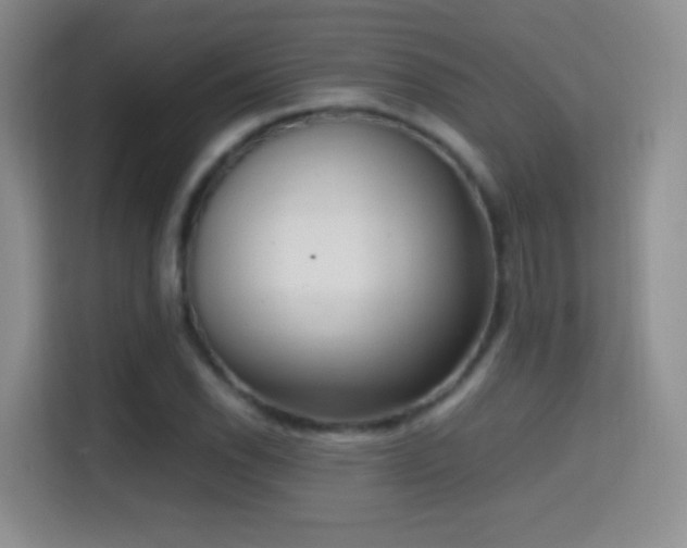X0000114681118200910211205
