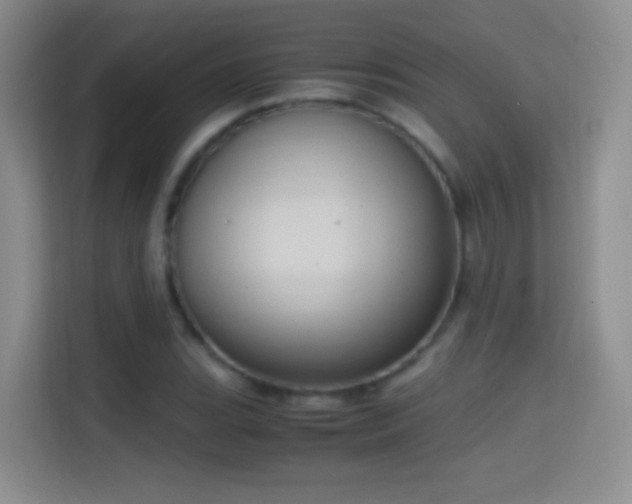 X0000114681119200910211205