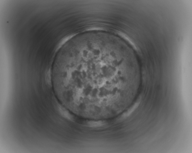 X0000114681121200910211205