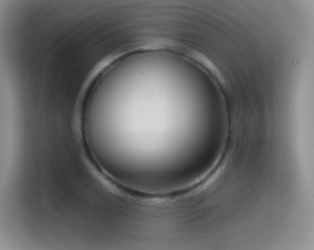 X0000114681122200910211205