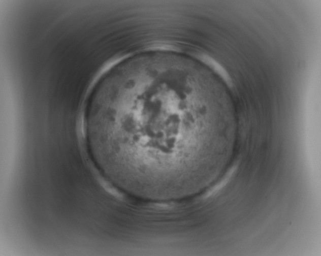 X0000114681125200910211205