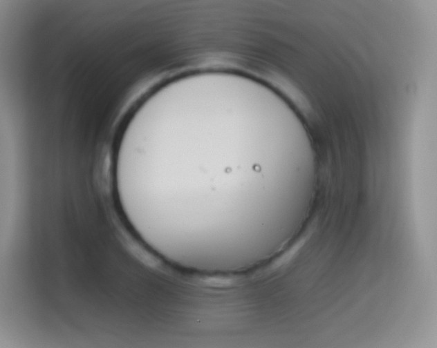 X0000114681126200910211205